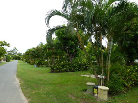 Queens Beach Tourist Village - Dalby Accommodation 6