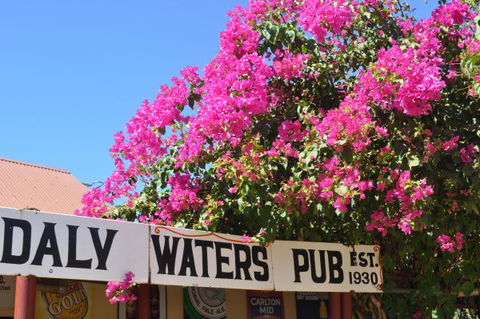 Daly Waters Historic Pub - Dalby Accommodation 7