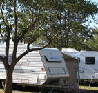 Active Holidays Cessnock Wine Country - Dalby Accommodation