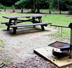 Bellbird campground - Dalby Accommodation
