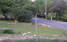 Burrinjuck Waters Holiday Park Accommodation - Dalby Accommodation 2