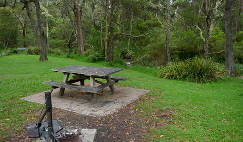 Chaelundi Campground - Dalby Accommodation 0