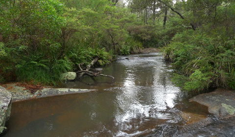 Chaelundi Campground - Dalby Accommodation 1