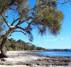 Currarong Beachside Holiday Park - Dalby Accommodation