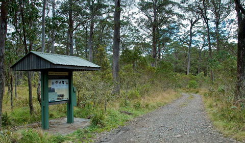 Devils Hole Campground And Picnic Area - Dalby Accommodation 1
