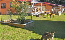 Durras Lake North Holiday Park - Dalby Accommodation 1