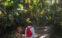 Durras Lake North Holiday Park - Dalby Accommodation 7