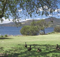 Riverfront Motel  Villas - Dalby Accommodation