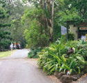 Tamborine Mountain Caravan  Camping - Dalby Accommodation
