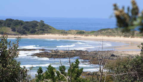 The Bowlo Holiday Cabins - Dalby Accommodation 0