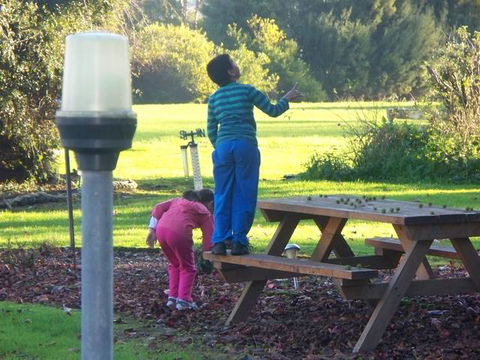 Toora Lodge Motel - Dalby Accommodation 2