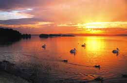 Two Shores Holiday Village - Dalby Accommodation 4