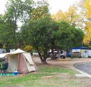 Wedderburn Pioneer Caravan Park - Dalby Accommodation