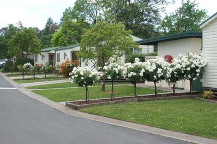 Wodonga Caravan & Cabin Park - Dalby Accommodation 0