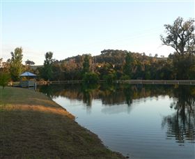 Mumbles - Dalby Accommodation 3