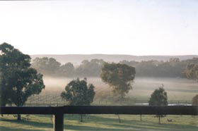 Settlers Rest Farmstay Swan Valley - Dalby Accommodation 3