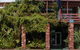 Best Western Elkira Resort Motel - thumb 4