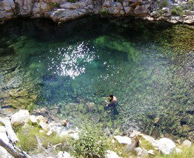 Lorella Springs Wilderness Park - Dalby Accommodation 4