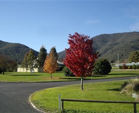 Talbingo Country Club - Dalby Accommodation 0