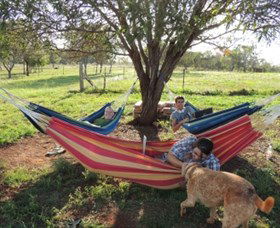 Childers Eco-lodge - Dalby Accommodation 1