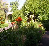 Blue Wren Cottage - Dalby Accommodation