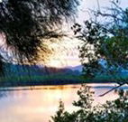 Tweed Coast Holiday Parks Hastings Point - Dalby Accommodation