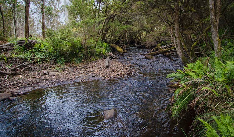 Moonan Brook NSW Dalby Accommodation