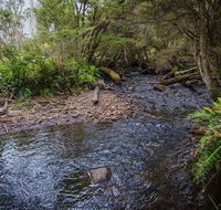 Horse Swamp campground - Dalby Accommodation