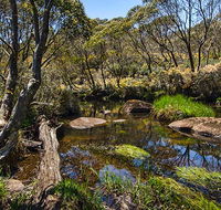 Junction Pools campground - Dalby Accommodation