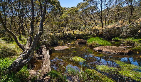Junction Pools Campground - Dalby Accommodation 0