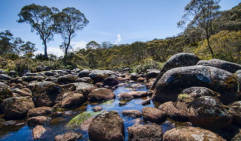 Junction Pools Campground - Dalby Accommodation 2