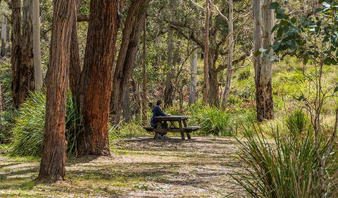 Koreelah Creek Campground - Dalby Accommodation 0