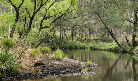 Koreelah Creek Campground - Dalby Accommodation 1