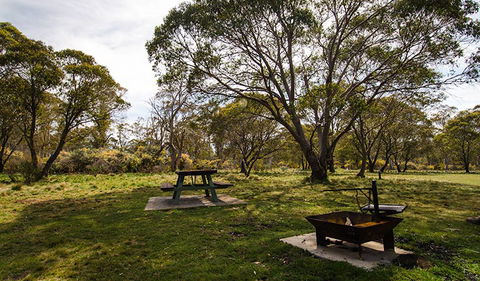 Little Murray Campground - Dalby Accommodation 0