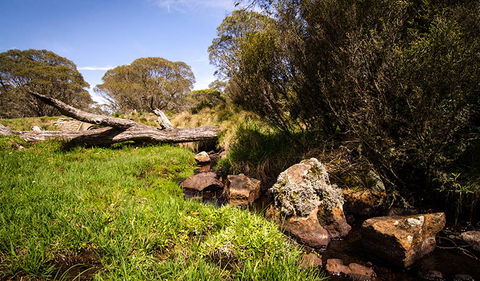 Little Murray Campground - Dalby Accommodation 1