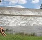 Lostock Dam Caravan Park - Dalby Accommodation