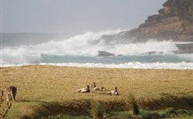 Merry Beach Caravan Resort - Dalby Accommodation 2