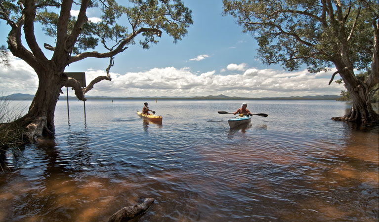 Willina NSW Dalby Accommodation