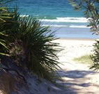 Myola Tourist Resort Caravan Park - Dalby Accommodation