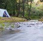 Nymboida Canoe Centre - Dalby Accommodation