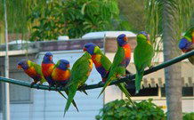 Pyramid Holiday Park - Dalby Accommodation 3