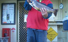 Rainbow Pines Tourist Caravan Park - Dalby Accommodation 0