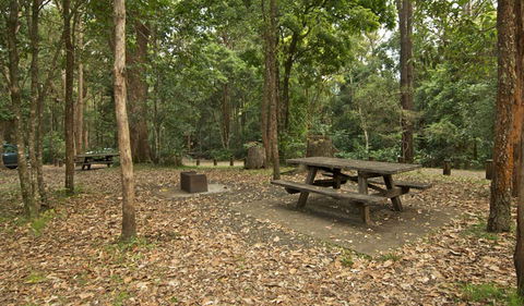 Sheepstation Creek Campground - Dalby Accommodation 0