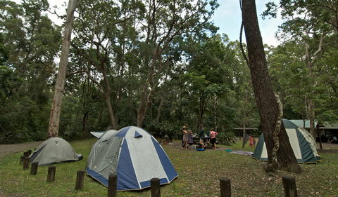 Sheepstation Creek Campground - Dalby Accommodation 2