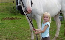 Three Waters High Country Holidays - Dalby Accommodation 2