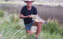 Three Waters High Country Holidays - Dalby Accommodation 1
