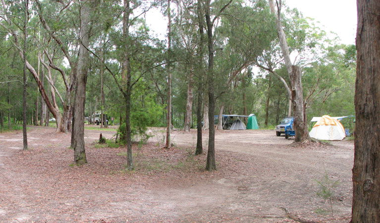 Wallingat NSW Dalby Accommodation