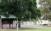 Warialda Rail NSW Dalby Accommodation