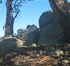 Warreen Farmstay Rural Accommodation - Dalby Accommodation