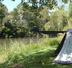Williams River Holiday Park - Dalby Accommodation